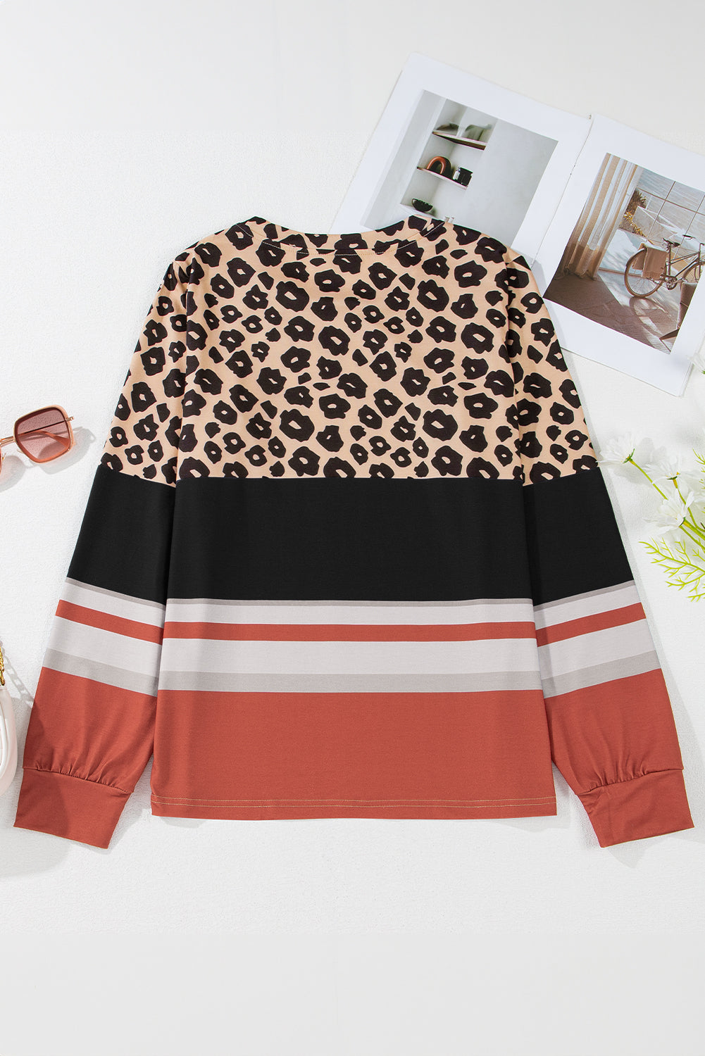 Brown Leopard Color Block Crewneck Long Sleeve Top