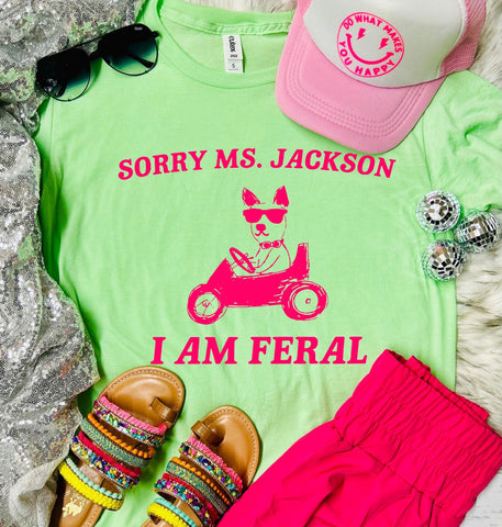 Sorry Ms Jackson I Am Feral Neo Mint Tee