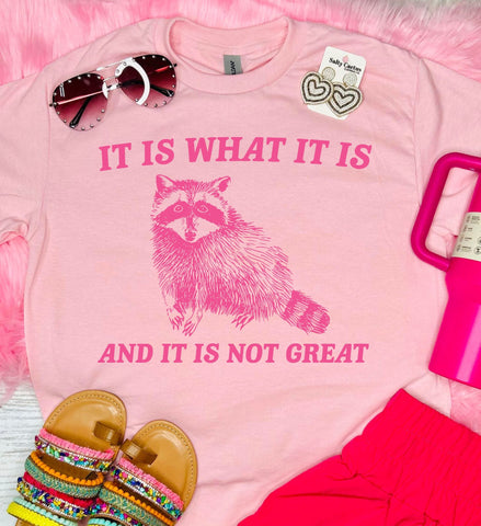 It Is What It is And It is Not Great Baby Pink Tee