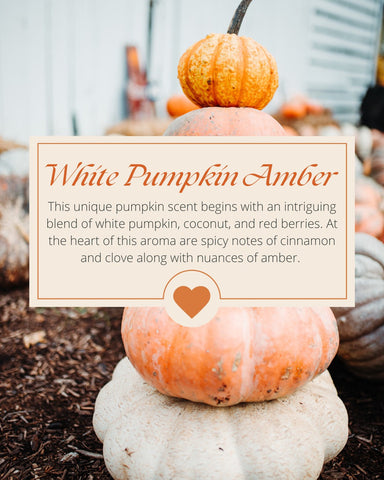 White Pumpkin Amber