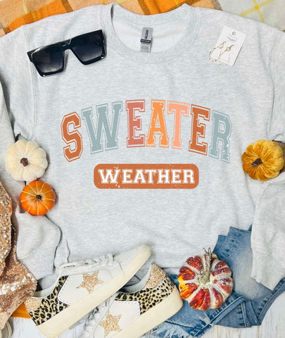 *DTF* Sweater Weather Vintage Colorful Ash Grey Sweatshirt