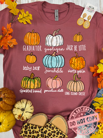 *DTG* Pumpkin Variety Mauve Tee